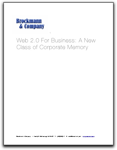 Web 2.0 for Business: A New Class of Corporate Memory